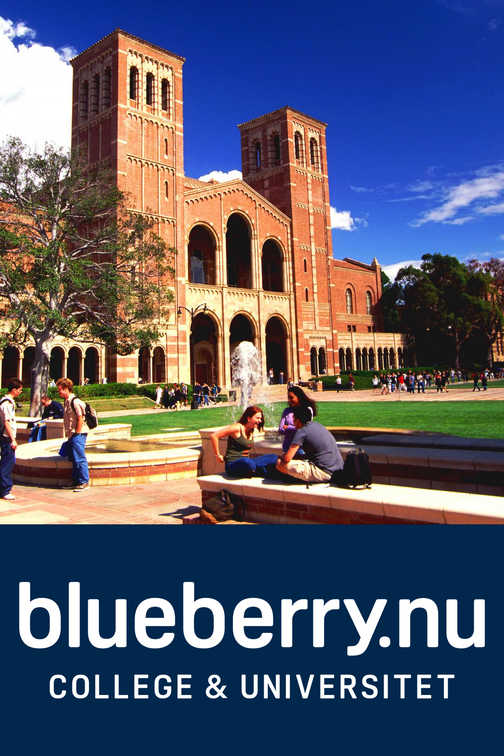 blueberry-nu_college-universitet